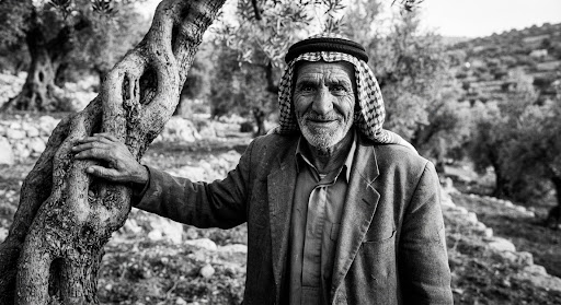 Portrait of a Salfit Cooperative olive farmer.